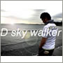 08-D sky walker.jpg